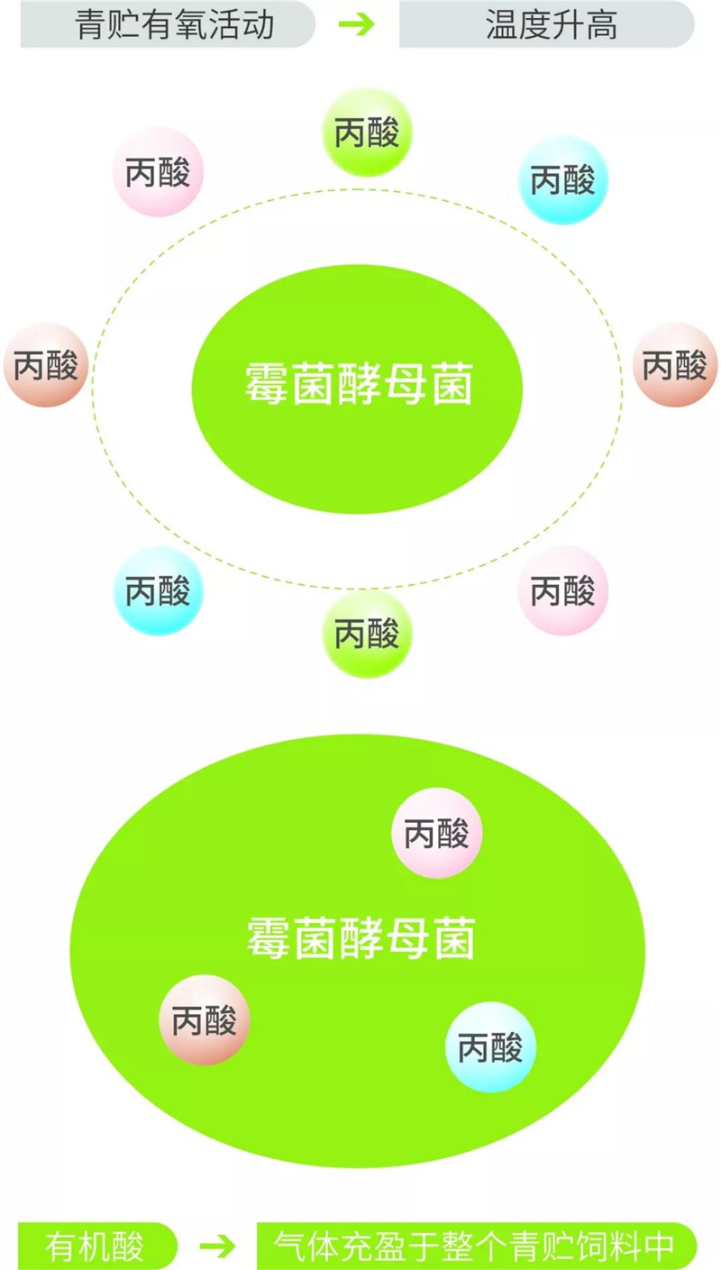 饲料添加剂