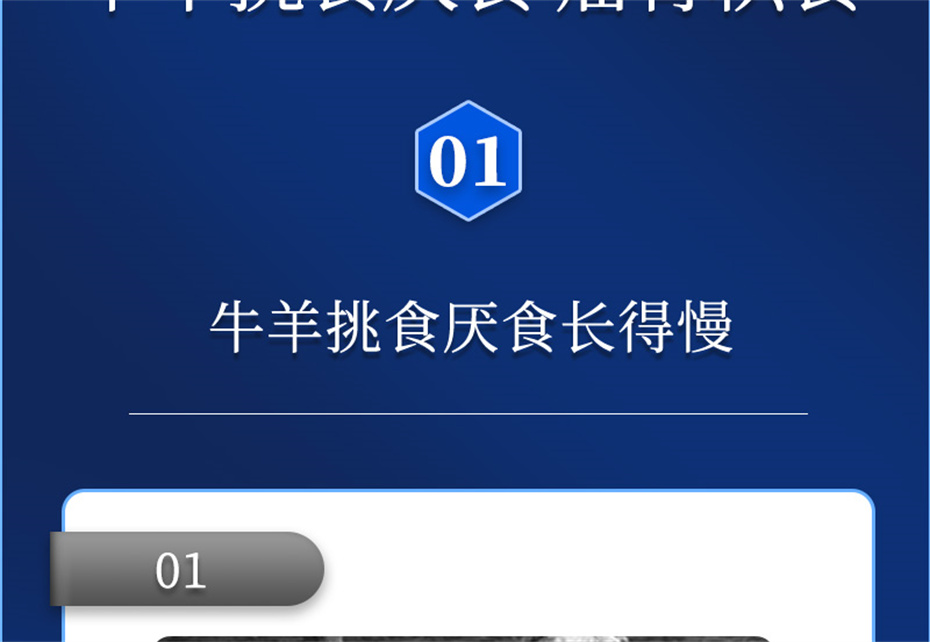 吉隆达动保牛羊饲料添加剂牛羊壮膘宝产品介绍