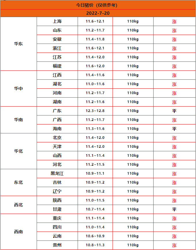 全国猪价行情