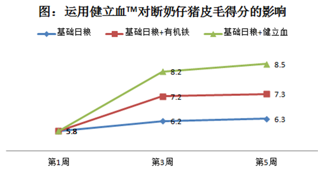 吉隆达猪饲料添加剂健立血对断奶仔猪皮毛的影响