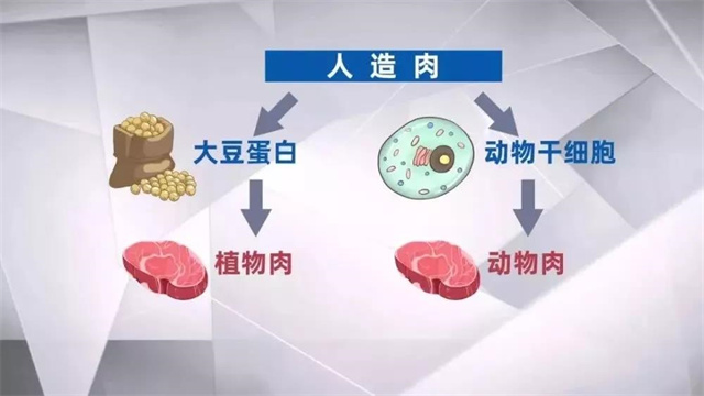 人造肉对畜牧业的影响