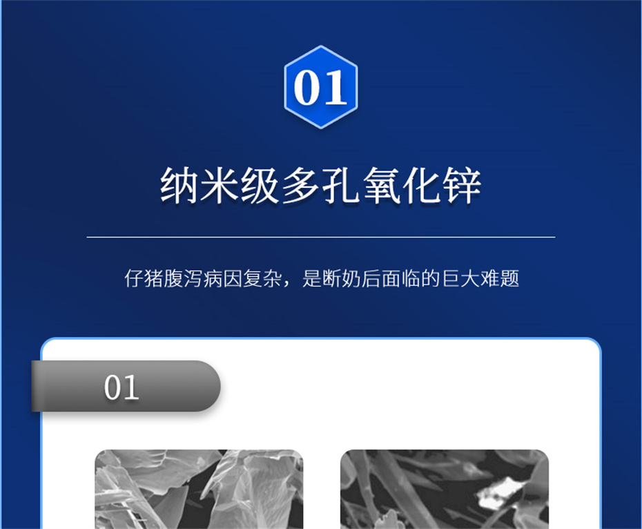 吉隆达动保猪饲料添加剂痢健120产品介绍