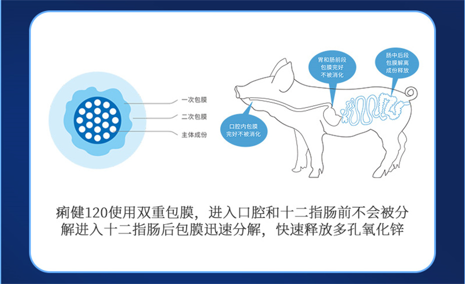 吉隆达动保猪饲料添加剂痢健120产品介绍