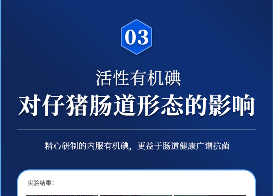 吉隆达动保猪饲料添加剂痢健120产品介绍