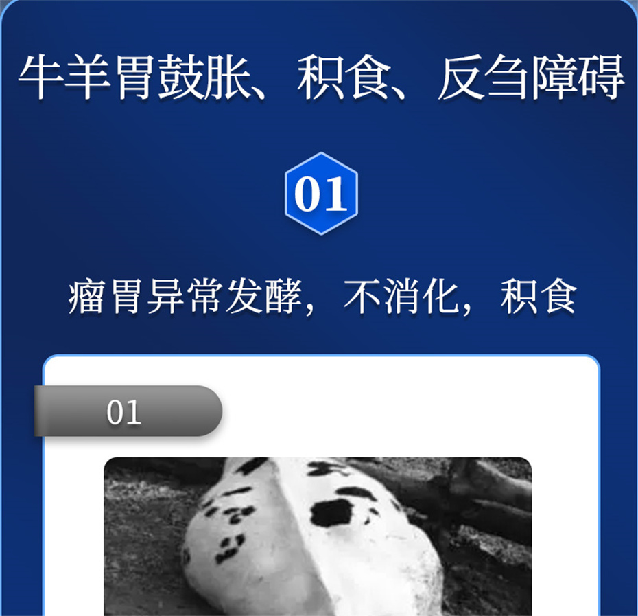 吉隆达动保牛羊饲料添加剂胃兴plus产品介绍