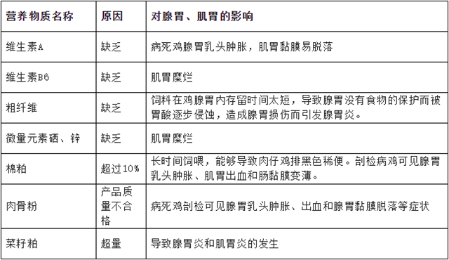 不同营养物质使用不当对鸡的腺胃、肌胃的影响表