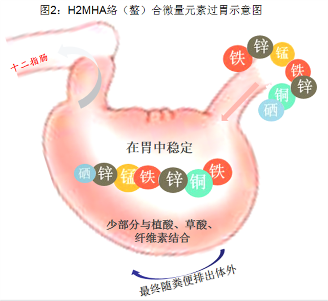 饲料添加剂